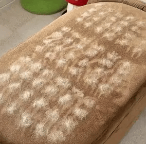 Pet Hair Remover Buy 1 Get 1 Free